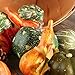 Faux Autumn Gourds, Polysilk Leaves and Natural Pinecones - Fall Decorating Kit