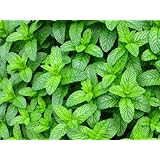 ���i�̏ڍ�