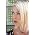 Vignette de Kim Wilde