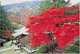 1000ピース 紅葉の善峯寺