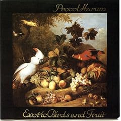 Exotic Birds and Fruit