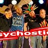 Image of Psychostick