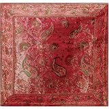 Pillowcases India Gift Christmas Presents Silk Fabric 12x12 inches (bcbr307)