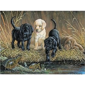 Turtle Hunters 500pc Puzzle