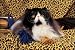   - 1000 Piece Persian Cat Jigsaw Puzzle