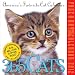 Cal 2012 365 Cats (Page a Day Calendar)