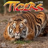 2009 Tigers Wall Calendar