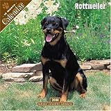 Rottweiler 2008 Wall Calendar