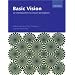 Basic Vision: An Introduction to Visual Perception