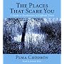The Places That Scare You: A Guide to Fearlessness in Difficult Times