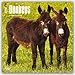 Donkeys 2016 Calendar