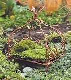 Fairy Garden Mini Canopy Bed
