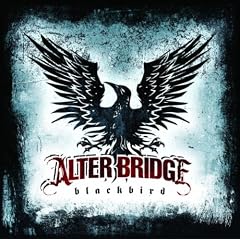 Blackbird
