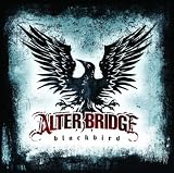 Blackbird