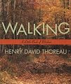 Walking (Little Books of Wisdom)