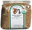 Bergin Nut Company Organic Wheat Berries, 16-Ounce Bag (Pack of 12)