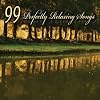 99 Perfectly Relaxing Songs (MP3 Album Download)