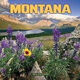 2012 Montana Scenic Wall Calendar