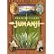 Jumanji (Deluxe Edition) (2 Discs) (Widescreen)