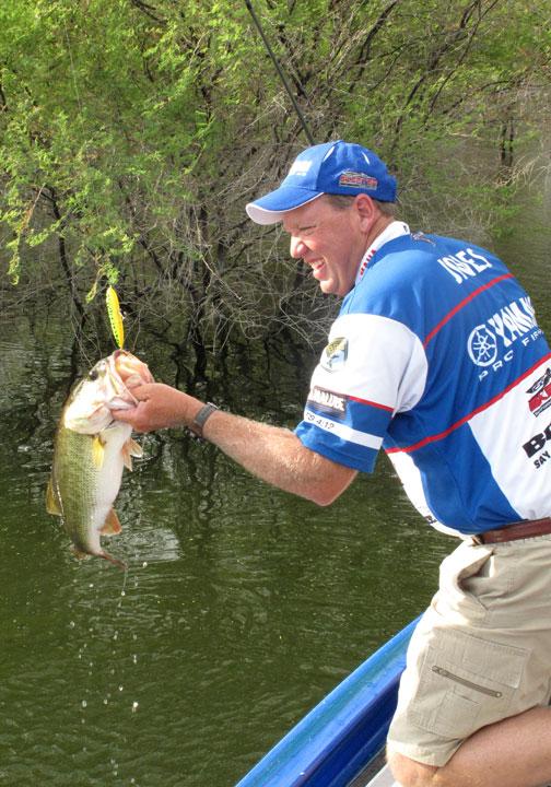 Heddon Zara Spook Lure Fishing Sinking Lures Sports