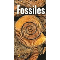 Fossiles