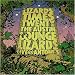Lizards Times Twenty: Live at Antone's