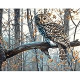 USA Produkt - Malen nach Zahlen Kit 14 X11Wise Owl
