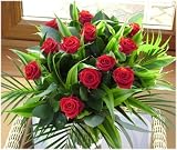 Click for more about Romantic Thoughts Valentine