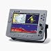 Raymarine