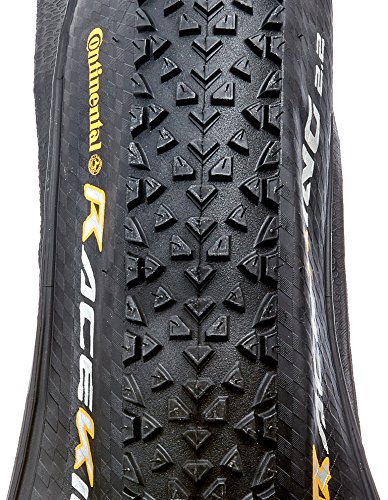 race king protection 27.5