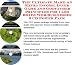 Search : The Ultimate Make An Extra Income, Inner Game and Godfather Principles for Cash Boxes Web Businesses 3 CD Power Pack