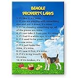 Beagle Property Laws Fridge Magnet Funny