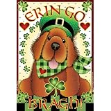 Jeremiah Junction Garden Flags Irish Setter Erin Go Br