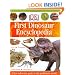 First Dinosaur Encyclopedia