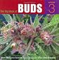 The Big Book of Buds, Volume 3: More Marijuana Varieties from the World's Great Seed Breeders (Big Book of Buds)