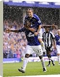 Box Canvas Print of Football - Everton v Newcastle United Barclays Premier League - Goodison Park -... from Everton ePhoto