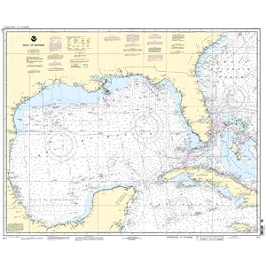 411--Gulf of Mexico by