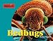 Parasites! - Bedbugs