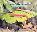 About Amphibians (A Guide for Children) (About...) (Illustrated) (Hardcover)