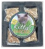 Kitty's Garden - Organic Grass Seed Refill