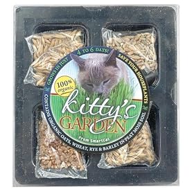 Kittys Garden Refill