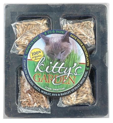 Kitty's Garden - Organic Grass Seed Refill