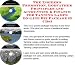 The Insider's Promotion, Godfather Principles and Accounting & Finance for Tanning Lamps On-line Biz Package (3 CDs)