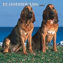 Bloodhounds 2007 Calendar