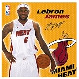 Lets Party By Amscan Miami Heat Lebron James Basketball - Lunch Napkins