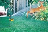 Contech Electronics Scarecrow Motion-Activated Sprinkler #CRO101