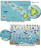 Hawaiian Islands Reef Fish and Creature Guide