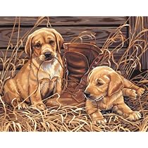 Paint by Number Puppies Plaything