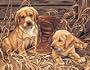 Dimensions PaintWorks/Paint By Number Puppies' Plaything