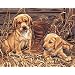 Dimensions Needlecrafts Paintworks Paint By Number, Puppies' Plaything